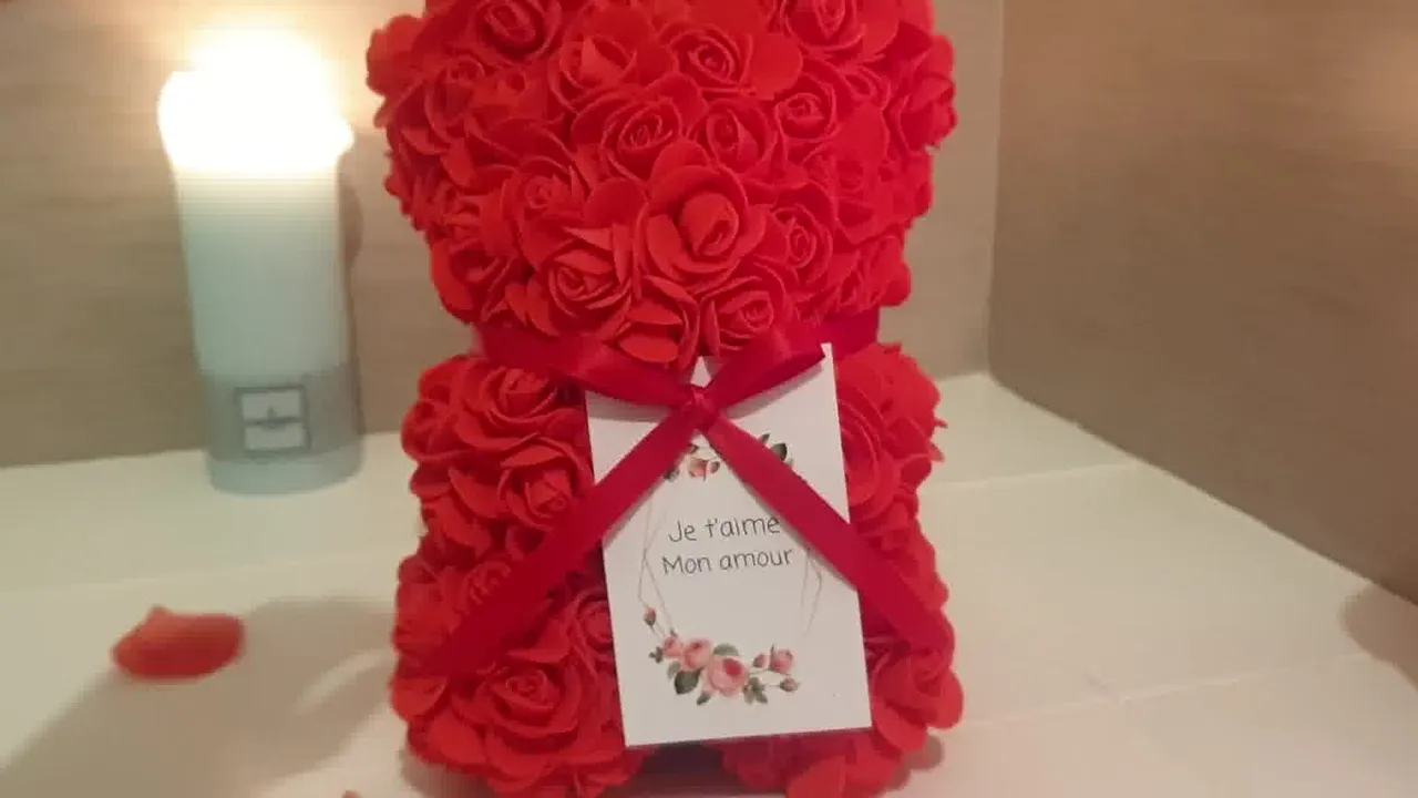 Ours en peluche Saint Valentin rouge personnalisé, rouge et rose Rouge  pailleté, cadeau nounours -  France