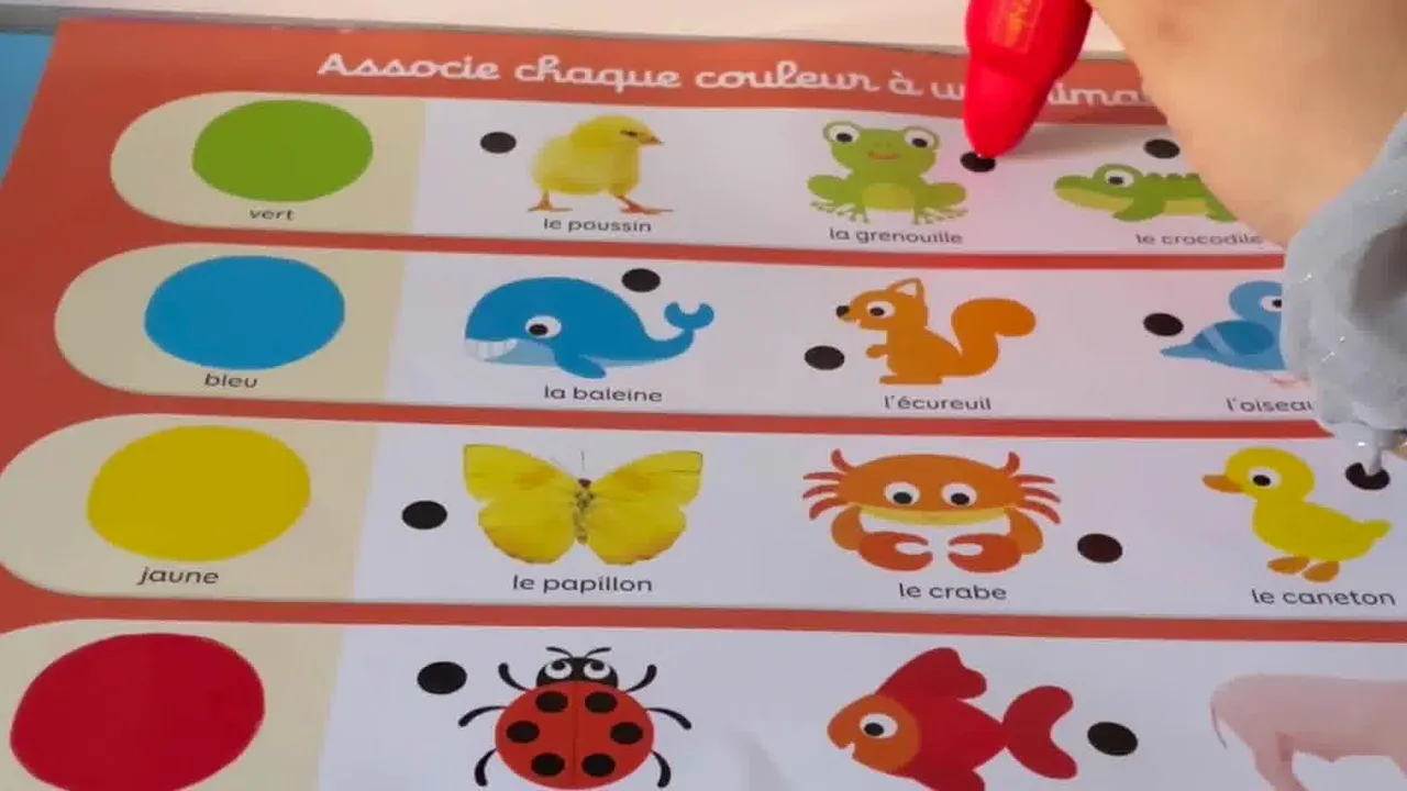 Baby Electro Mon Imagier : Le jeu d'apprentissage pour vos enfants dès 2  ans - MesCadeaux